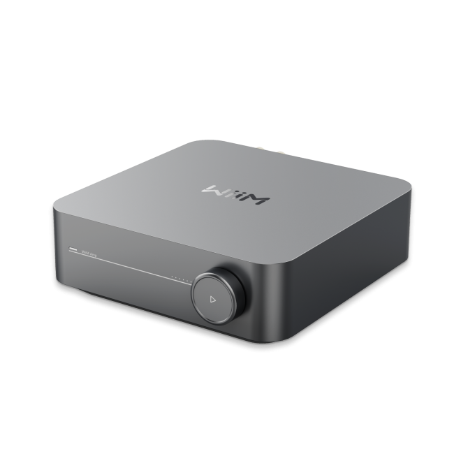 browser-download-20261015T051641.239848751Z-17-WiiM_Amp_Gray